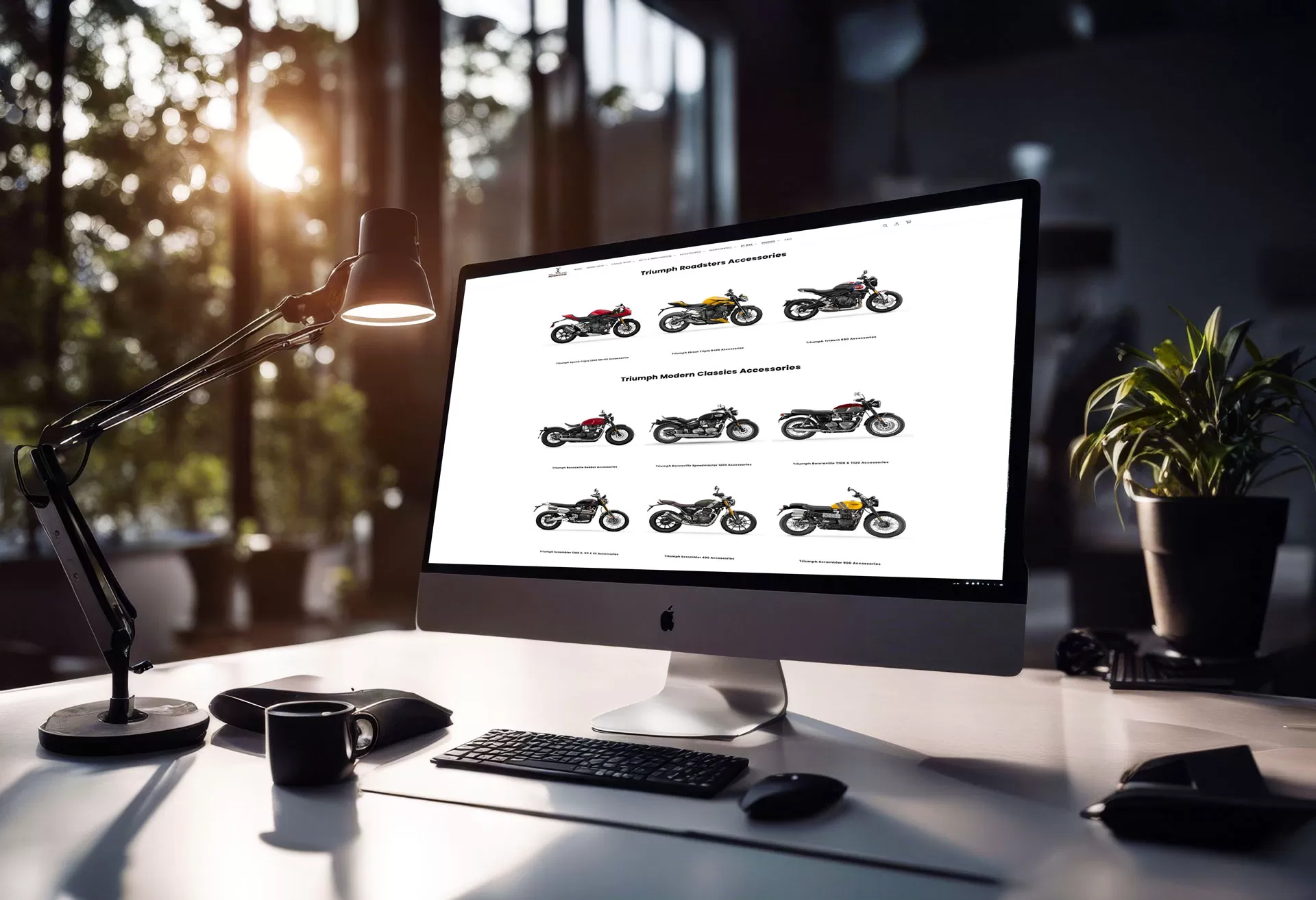 Triumph Motorcycle Accessories by model