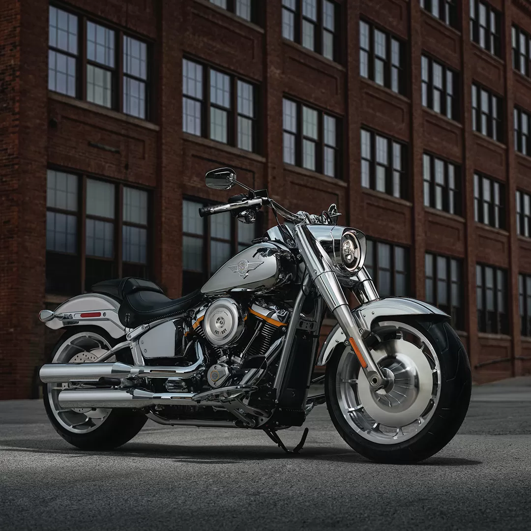 HARLEY-DAVIDSON FAT BOY GRAY GHOST