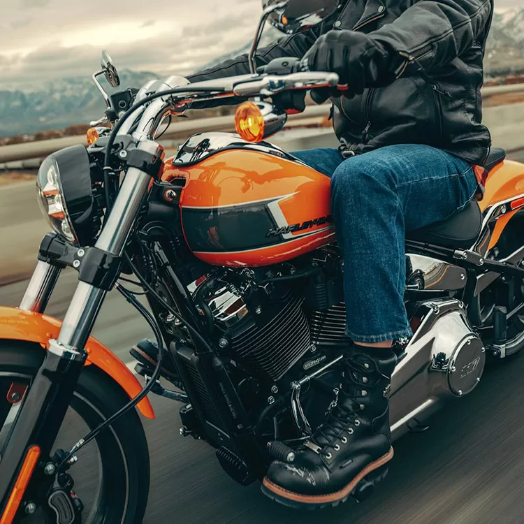 New Harleys for 2023