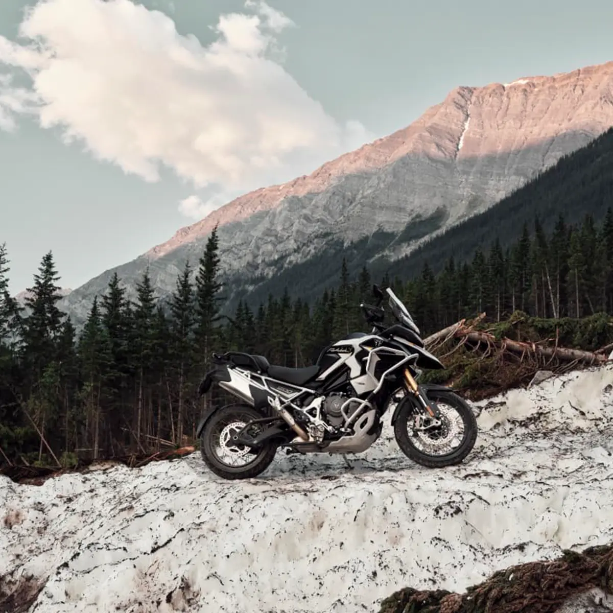2027 Triumph Tiger 1200 Rally Explorer in Matt Khaki Green